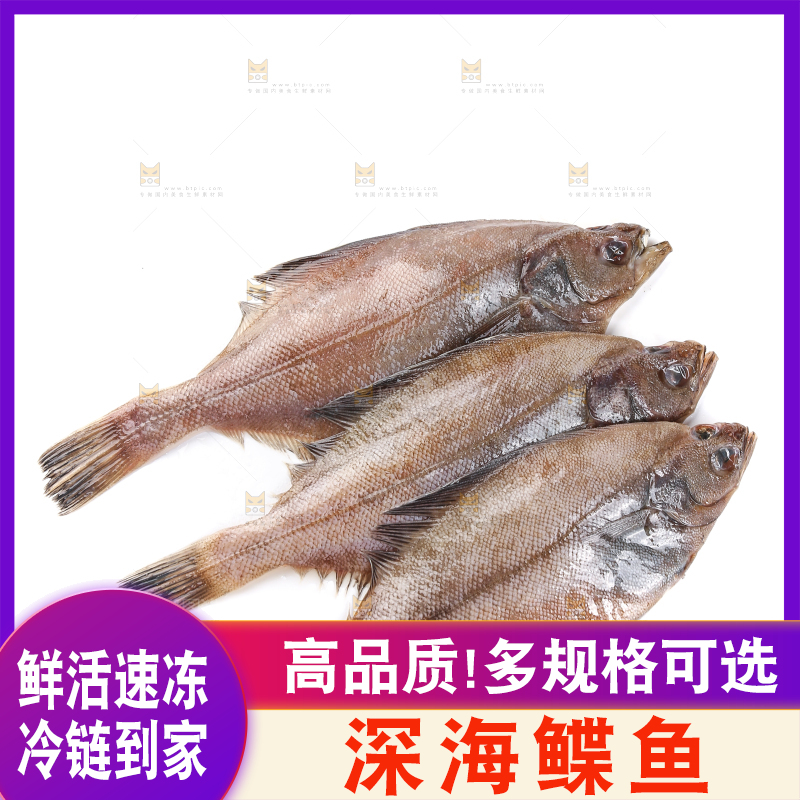 白底上的鲽鱼