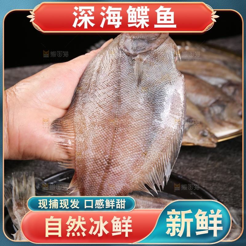 深底上的鲽鱼