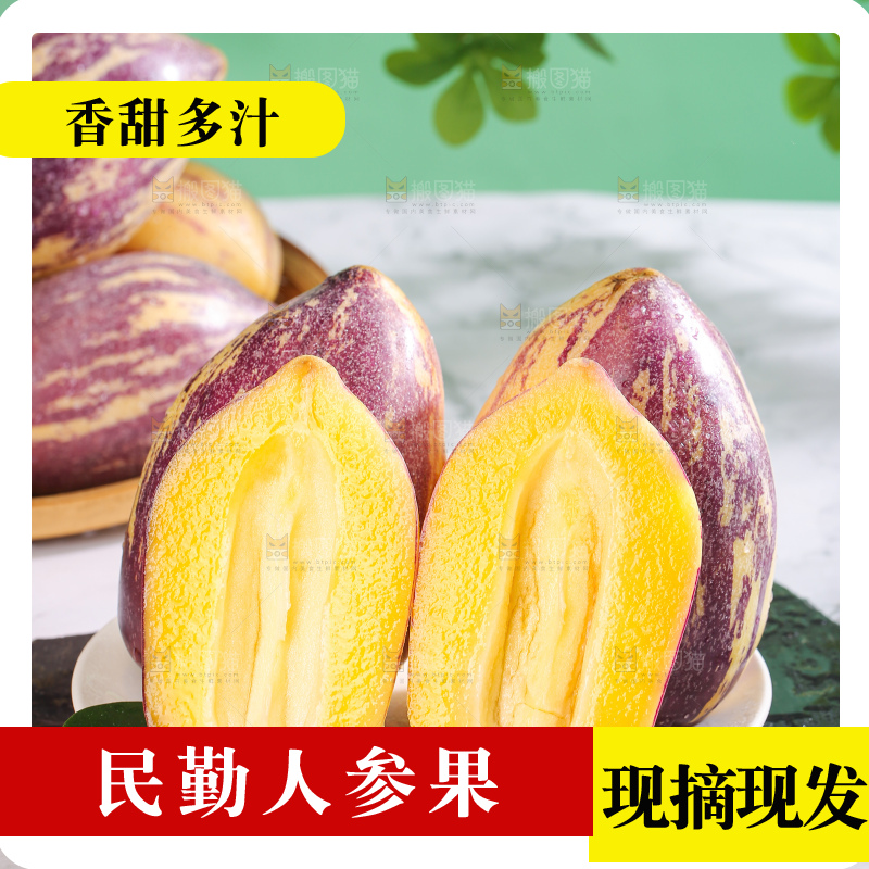 浅底上的民勤人参果