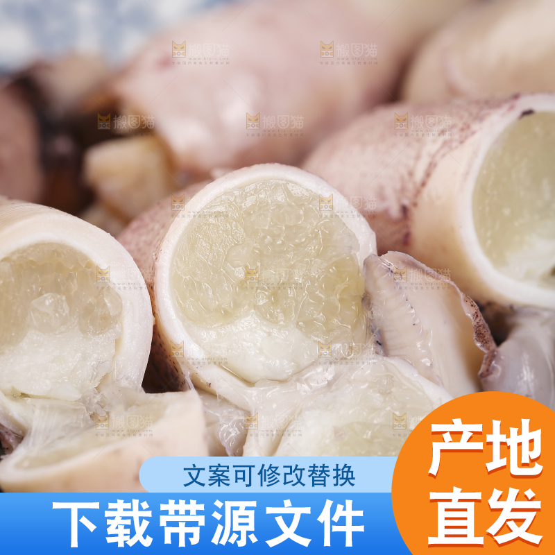 深底上的海兔