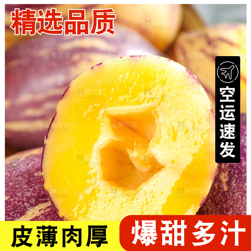 浅底上的民勤人参果