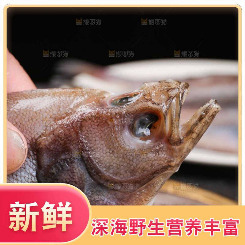 深底上的鲽鱼