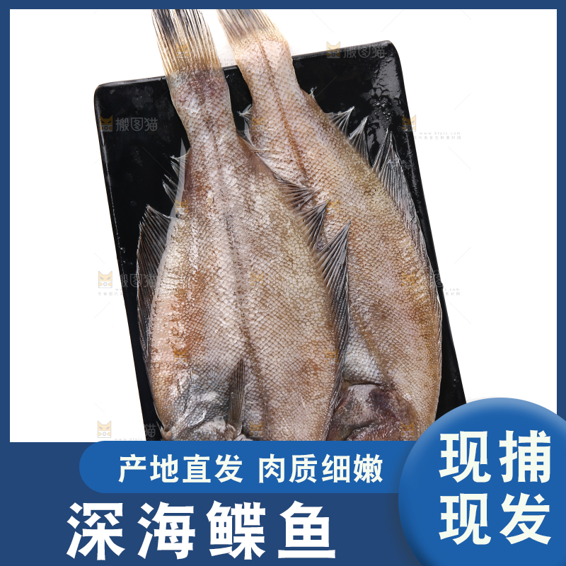 白底上的鲽鱼