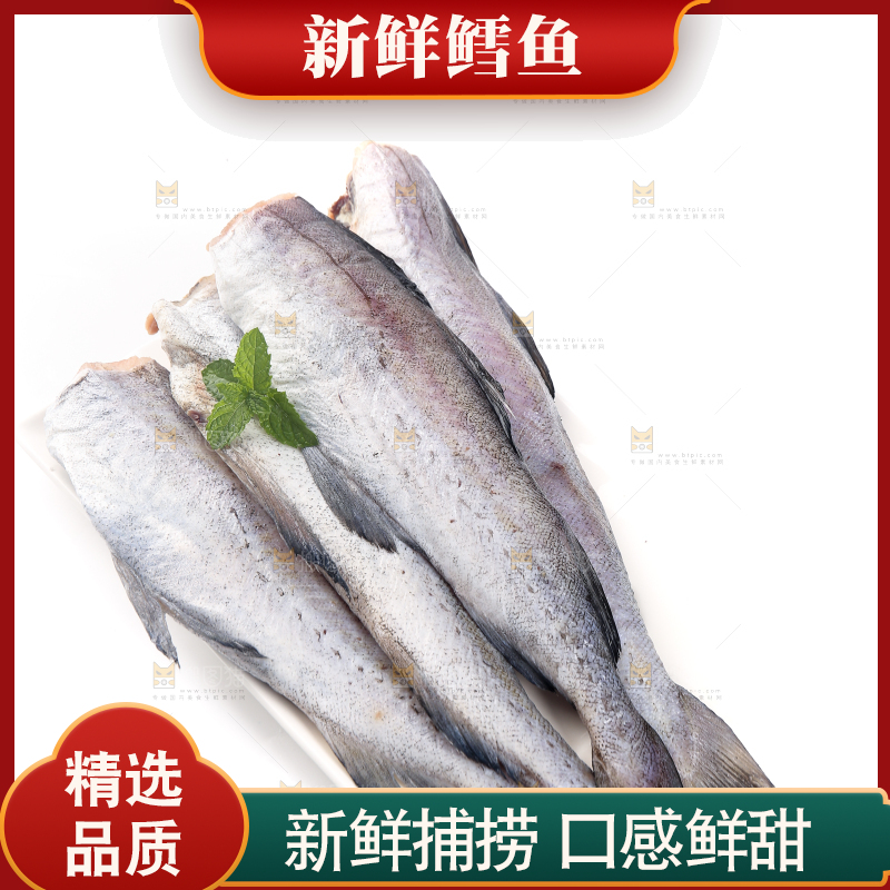 白底上的鳕鱼