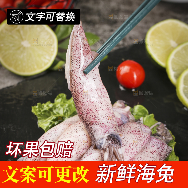 深底上的海兔