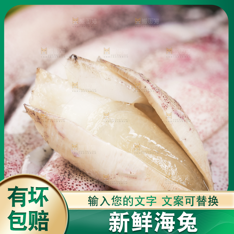 深底上的海兔