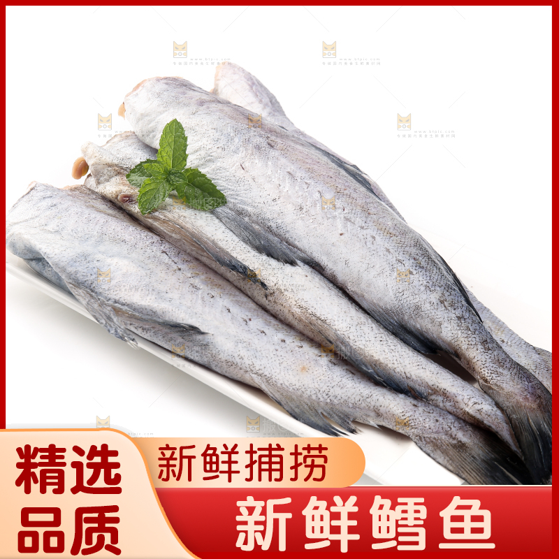 白底上的鳕鱼