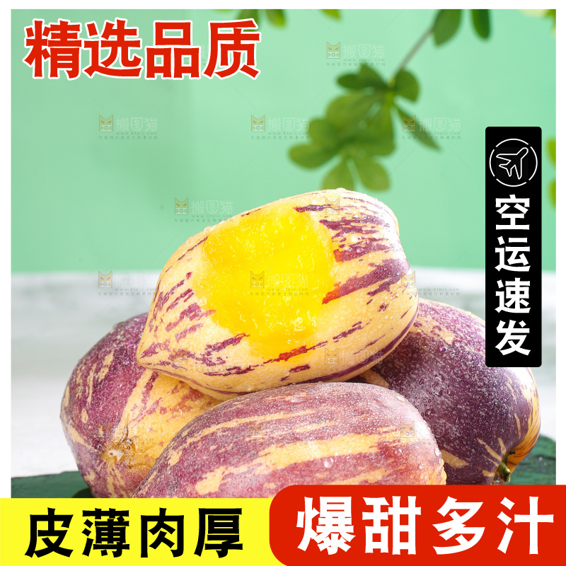 浅底上的民勤人参果