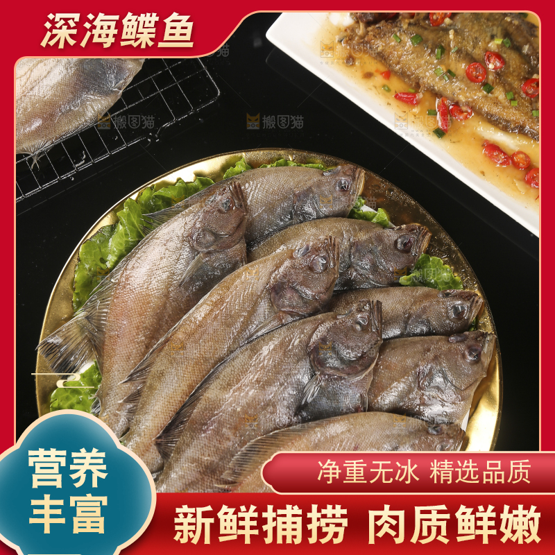 深底上的鲽鱼