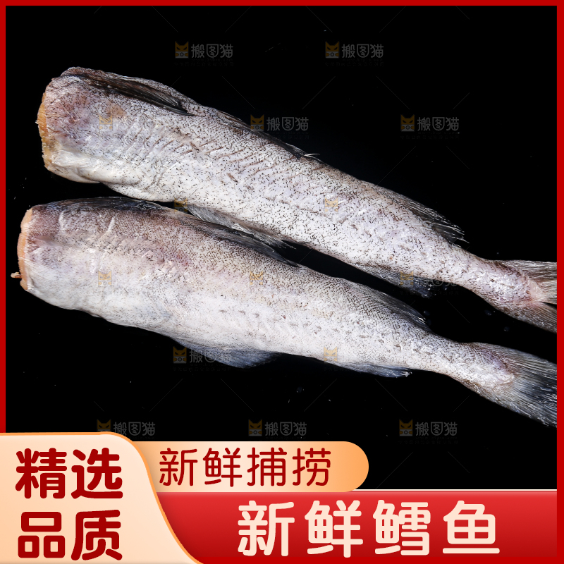 深底上的鳕鱼