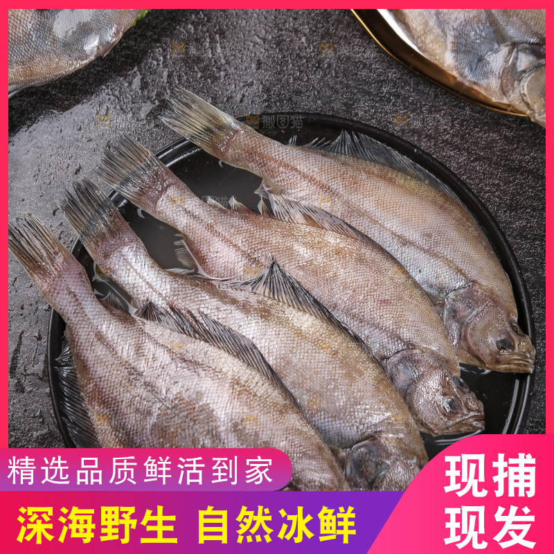 深底上的鲽鱼