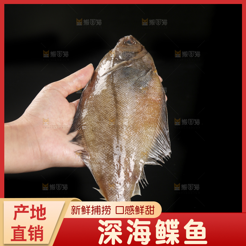 深底上的鲽鱼