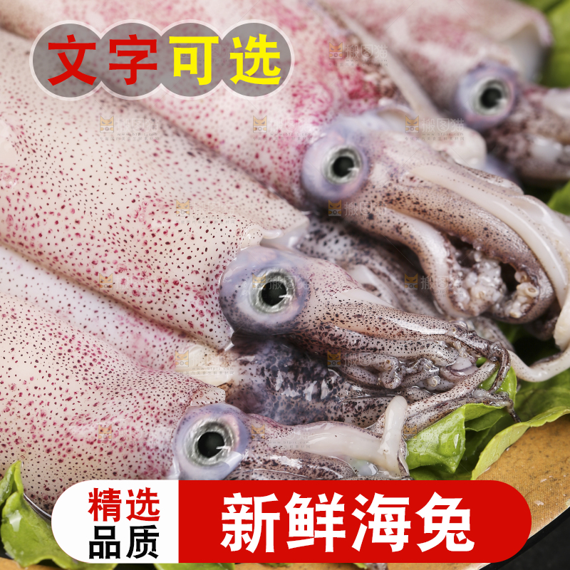 深底上的海兔