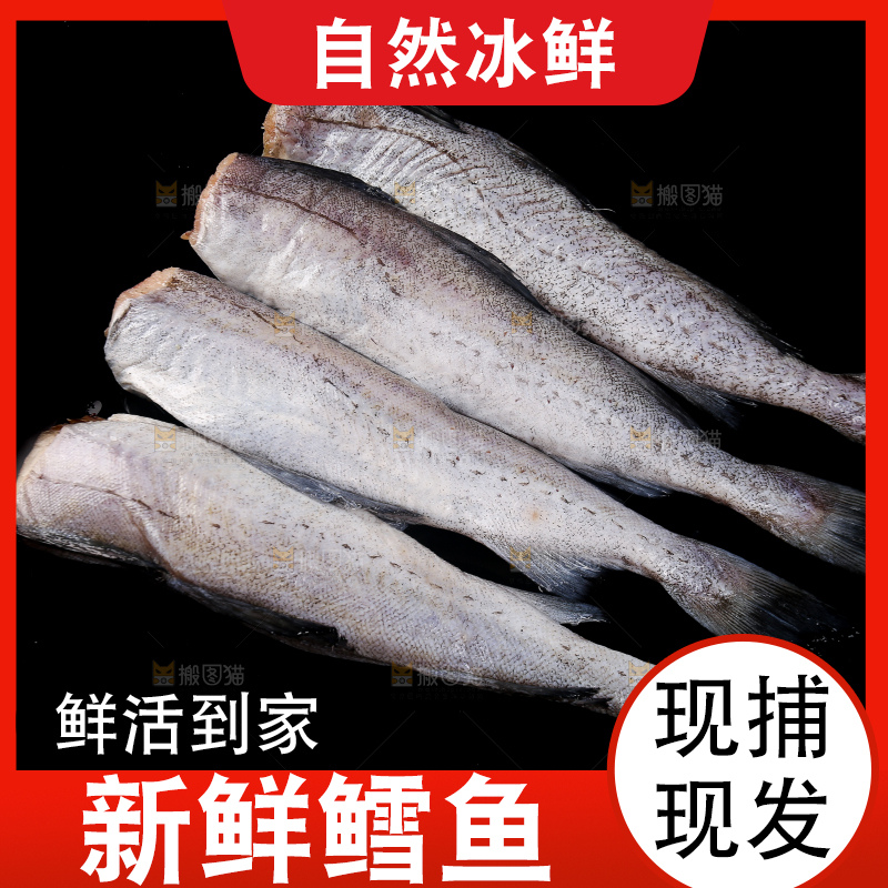 深底上的鳕鱼