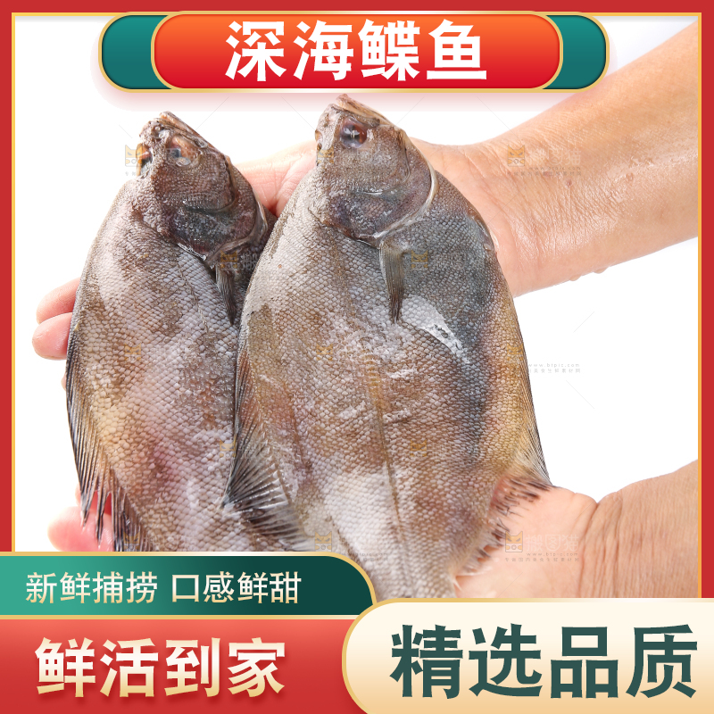 白底上的鲽鱼