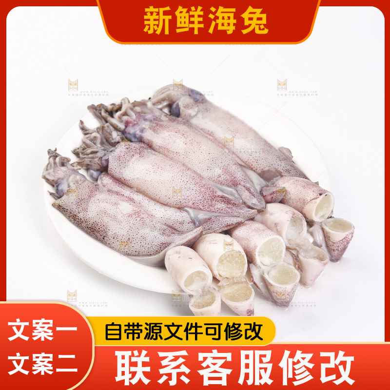 白底上的海兔