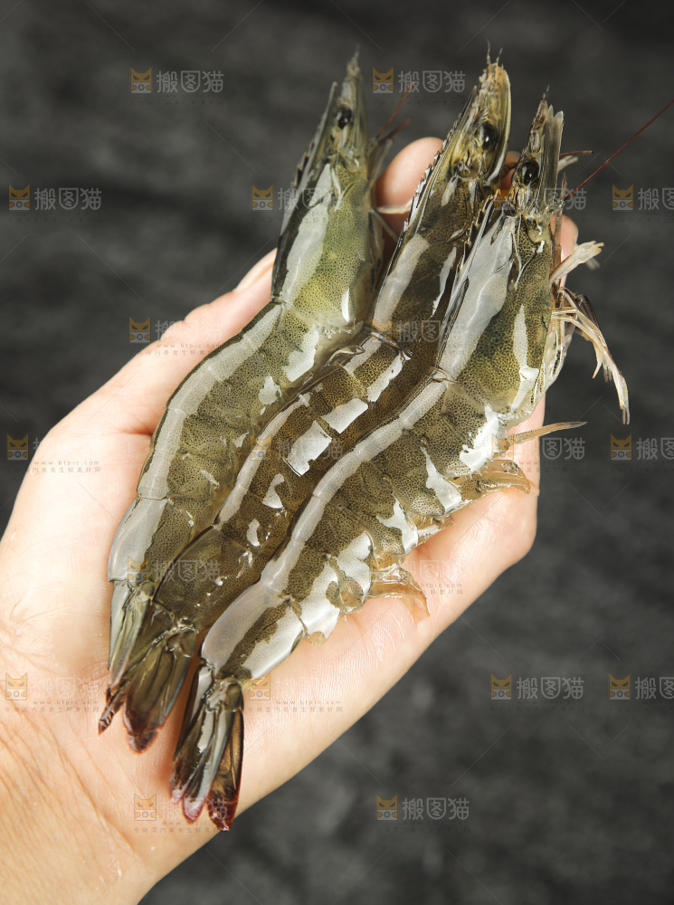 手里拿着青岛大虾