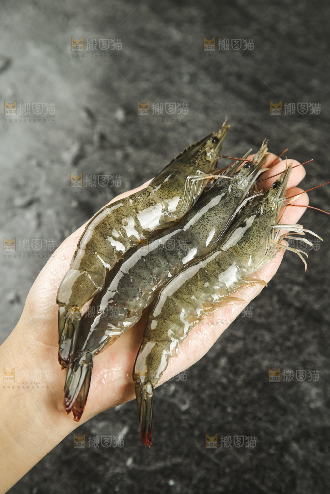 手里拿着青岛大虾