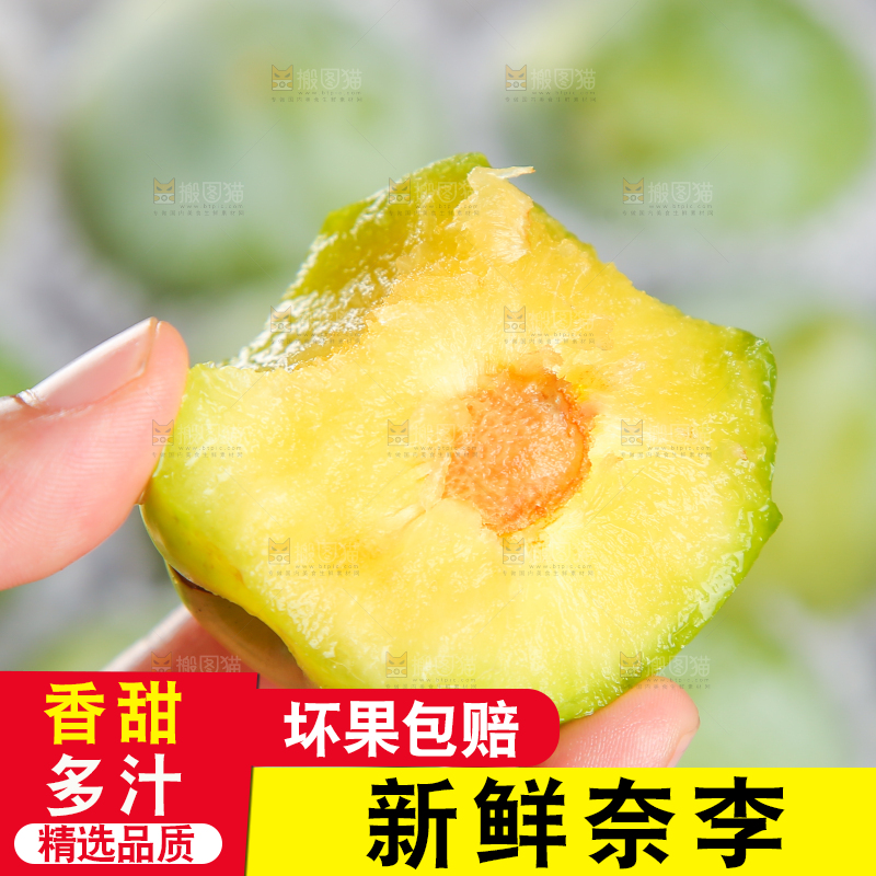 浅底上的奈李