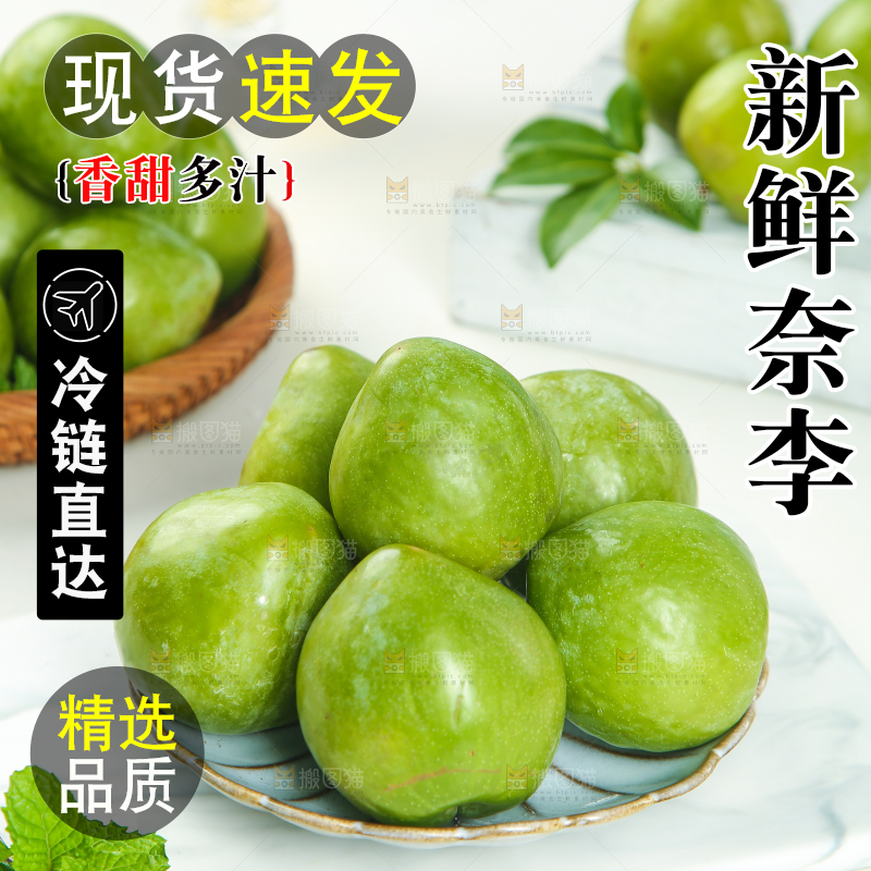 浅底上的奈李