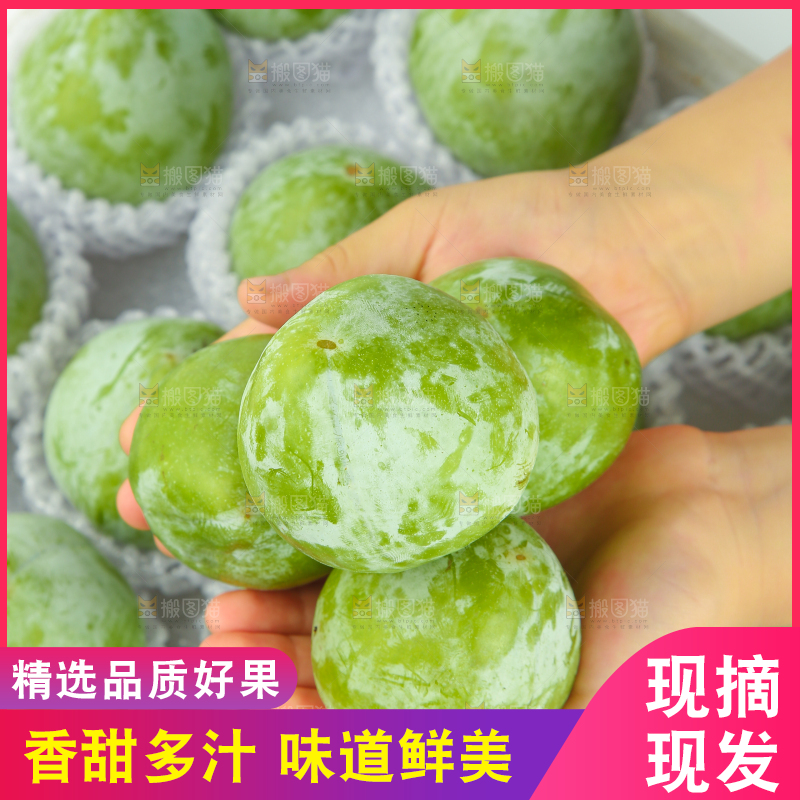 白底上的奈李