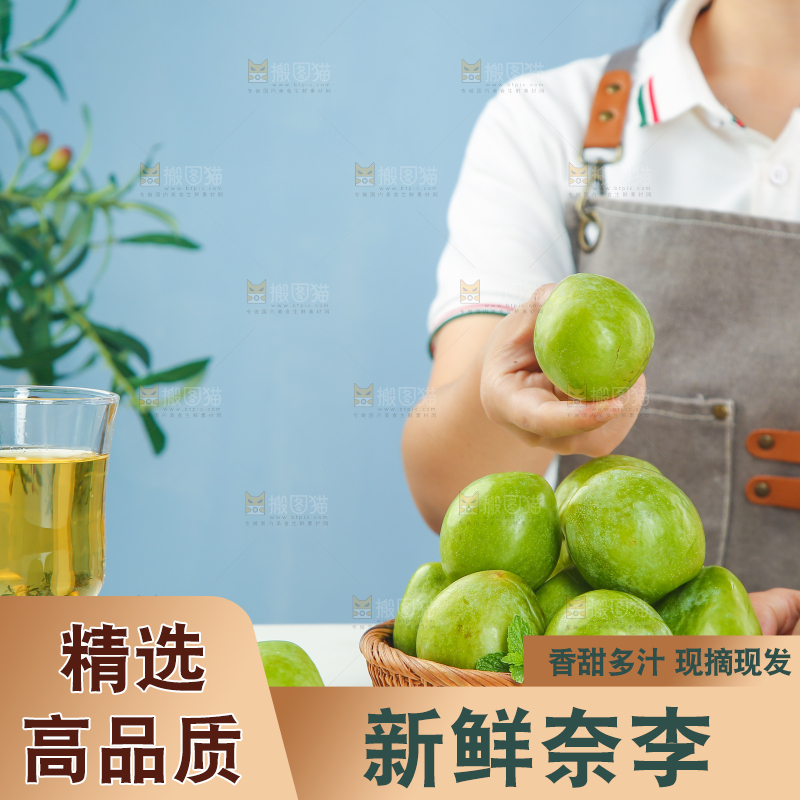 浅底上的奈李
