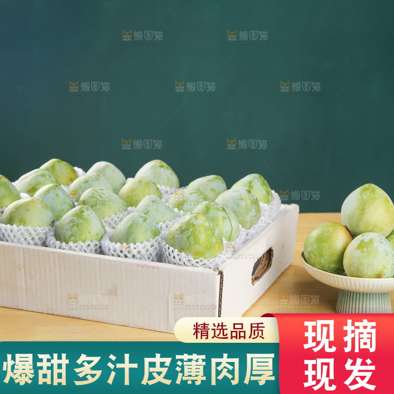 浅底上的奈李