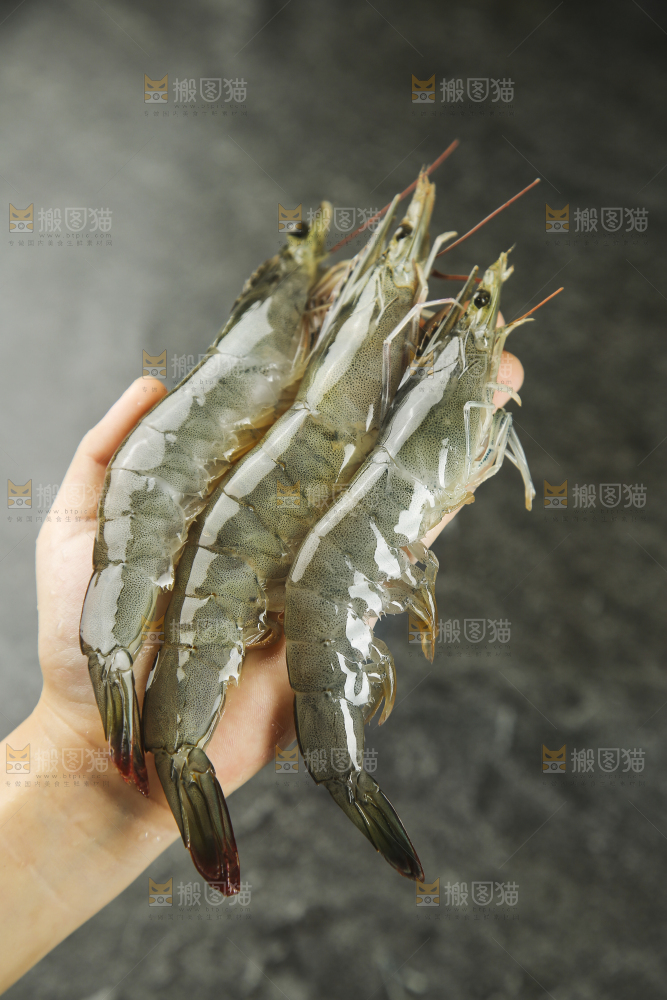 手里拿着青岛大虾