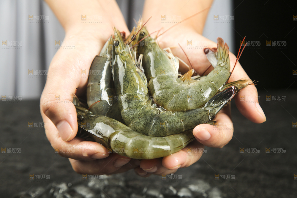 手里拿着青岛大虾