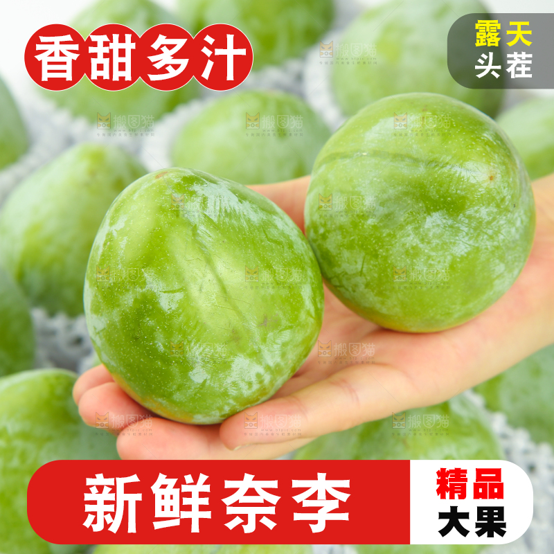 白底上的奈李