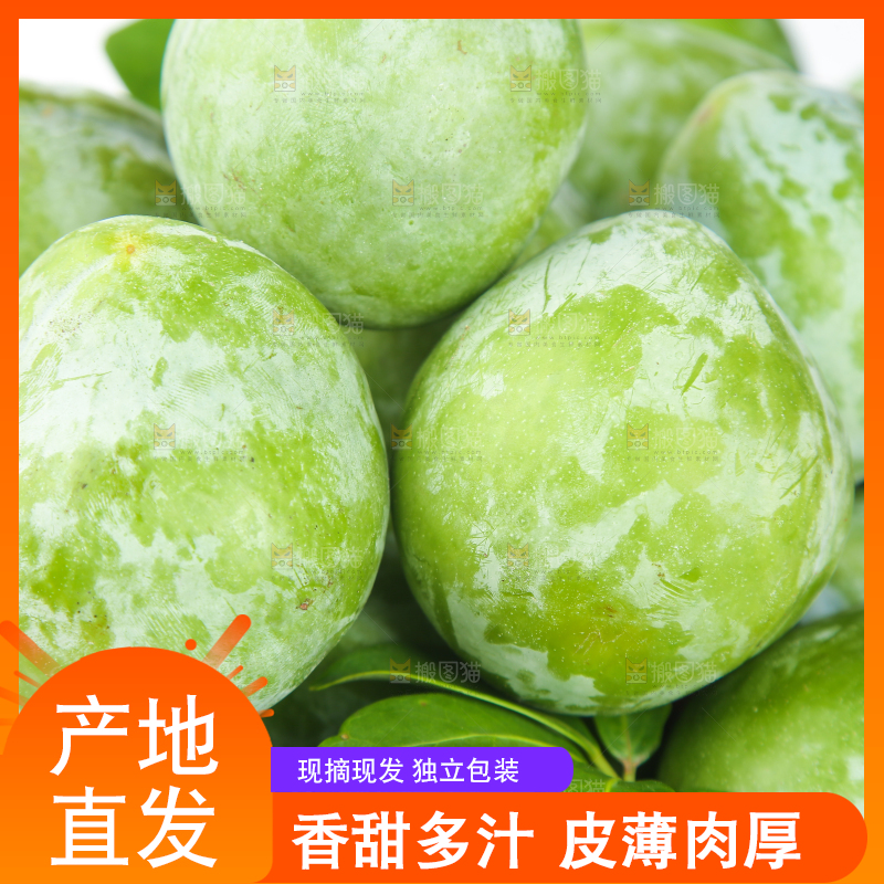 白底上的奈李