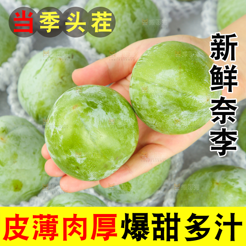白底上的奈李