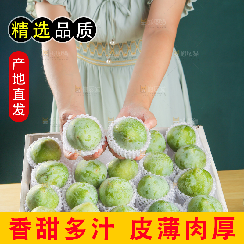 浅底上的奈李