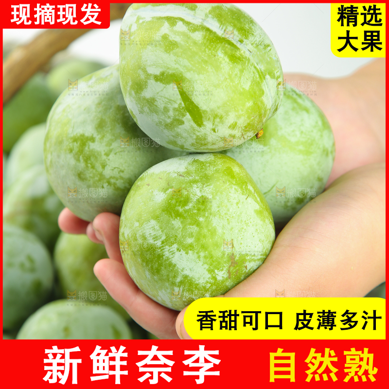 白底上的奈李