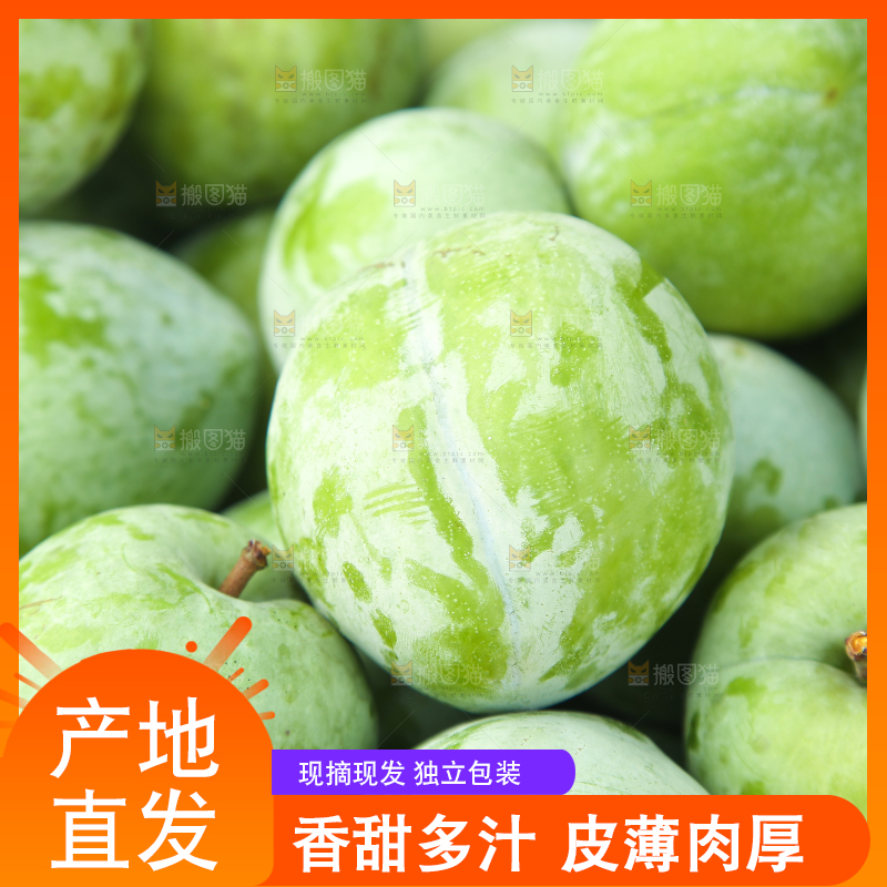 白底上的奈李