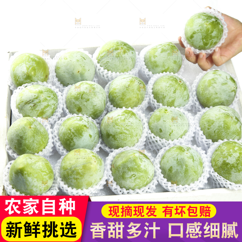 白底上的奈李