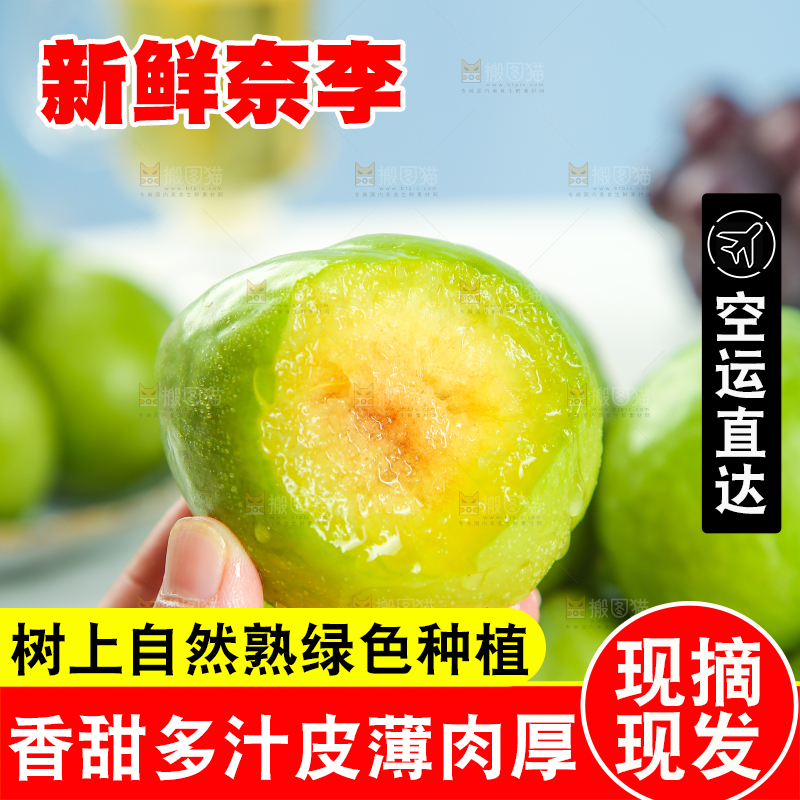 浅底上的奈李