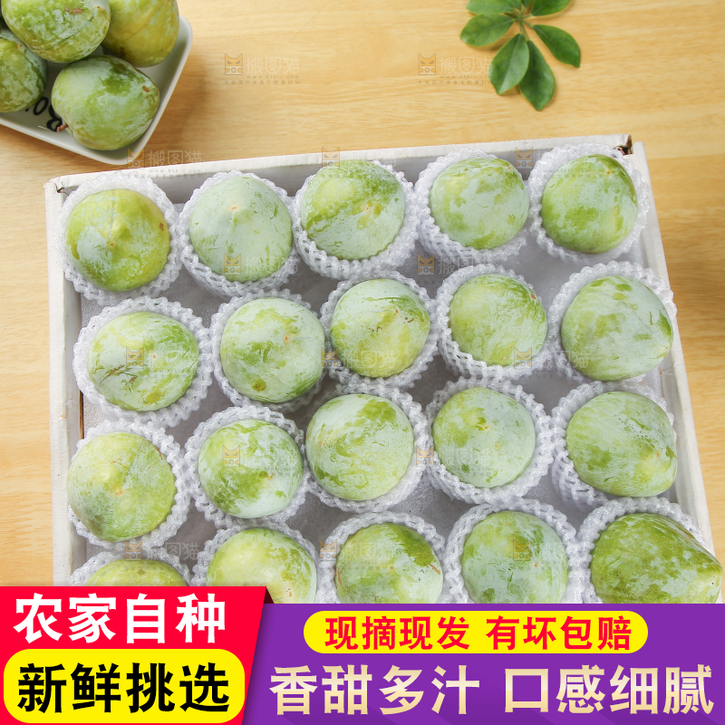 浅底上的奈李