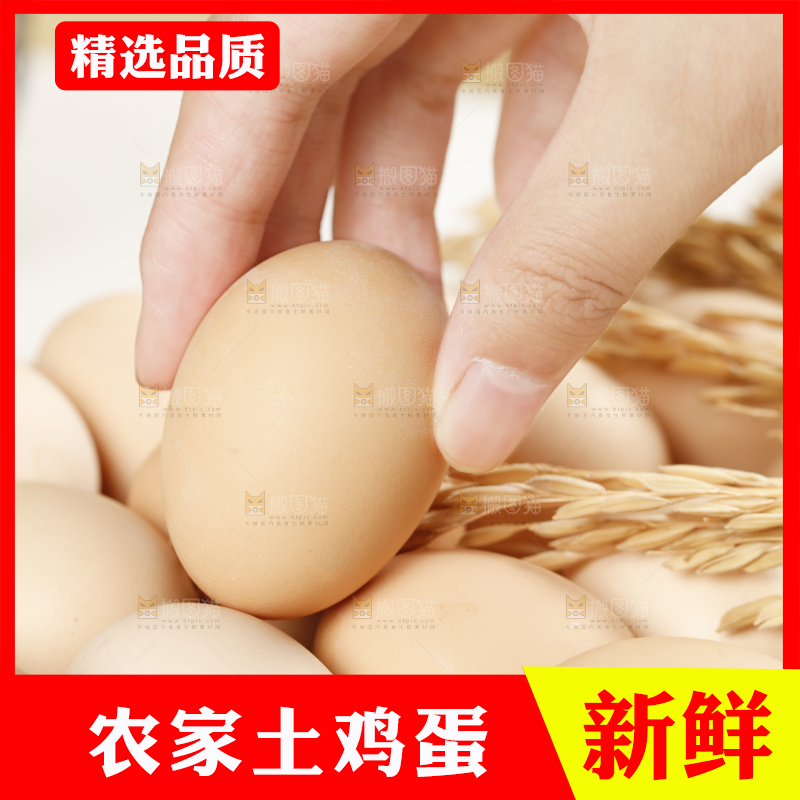 浅底上的土鸡蛋