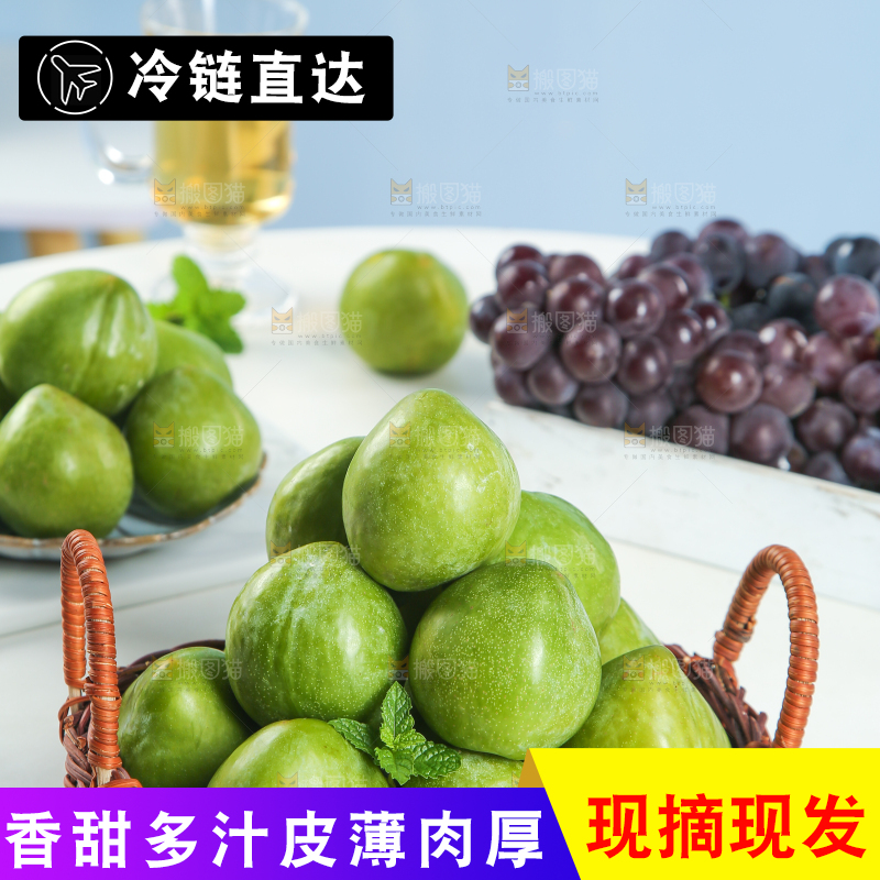 浅底上的奈李
