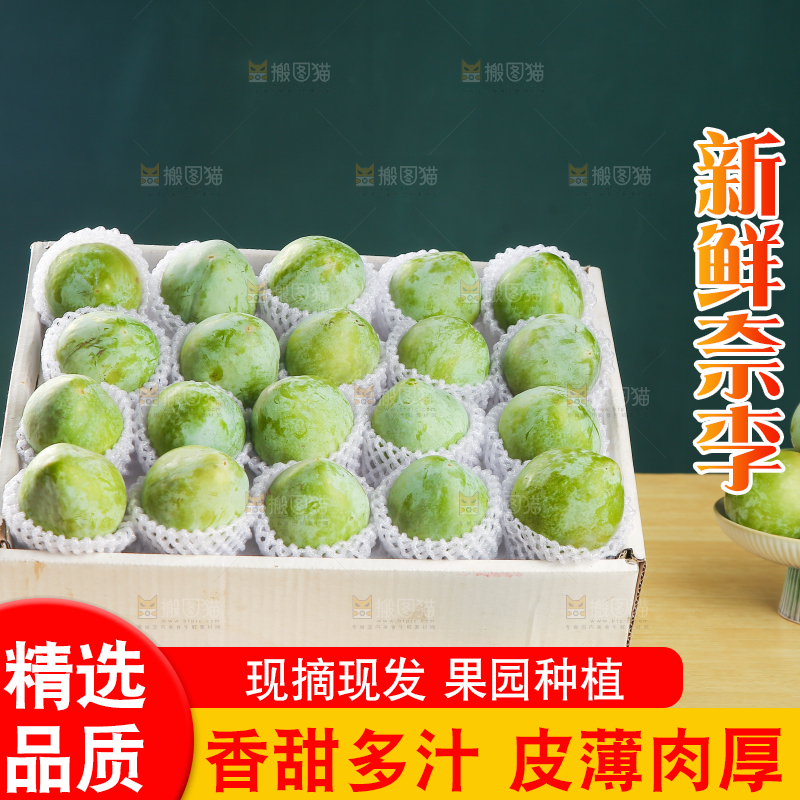 浅底上的奈李