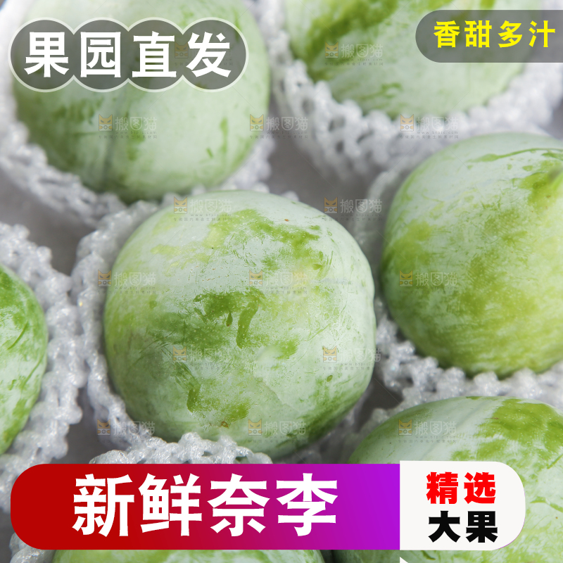 浅底上的奈李