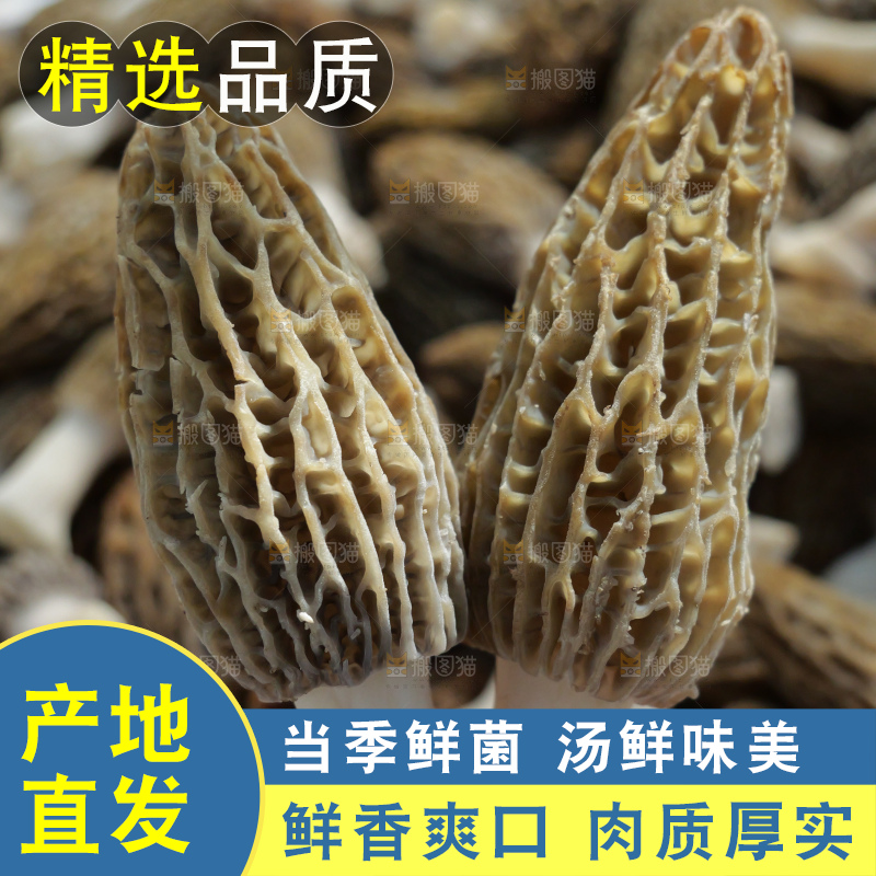 堆放着的新鲜羊肚菌