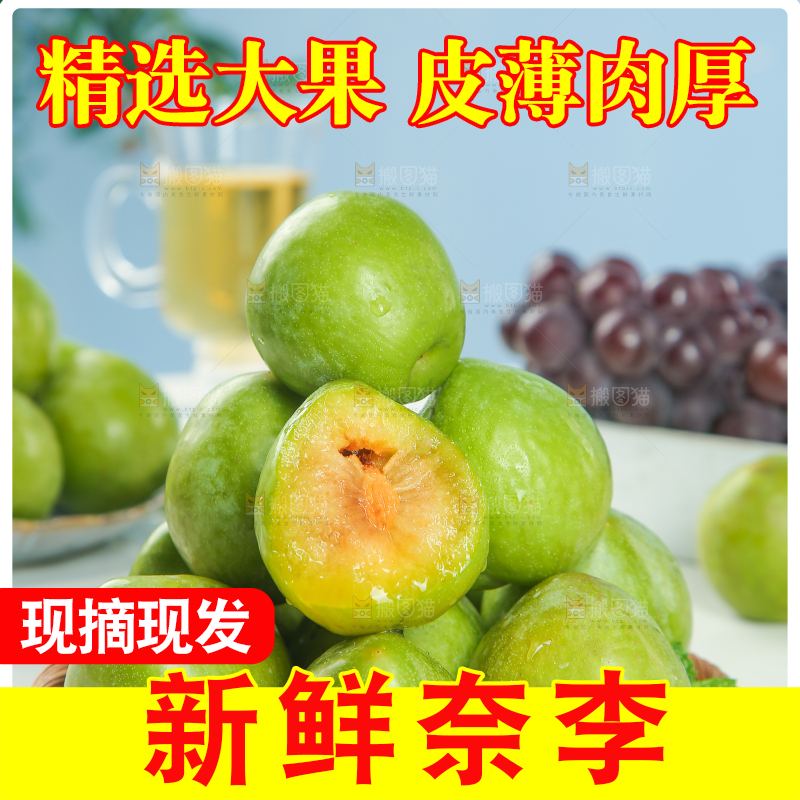 浅底上的奈李