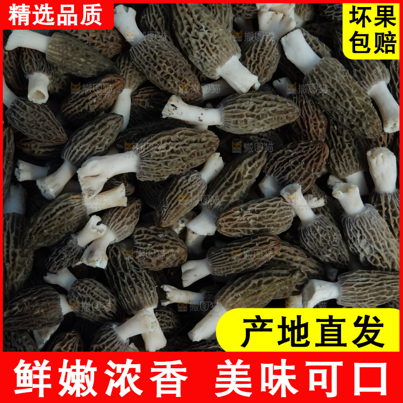 堆放着的新鲜羊肚菌