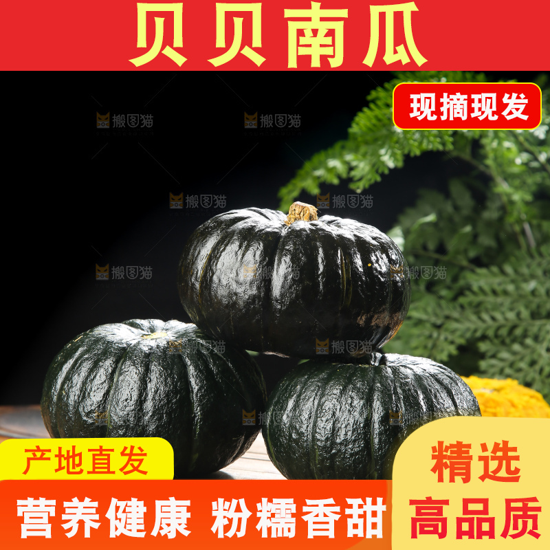 深底上的贝贝南瓜