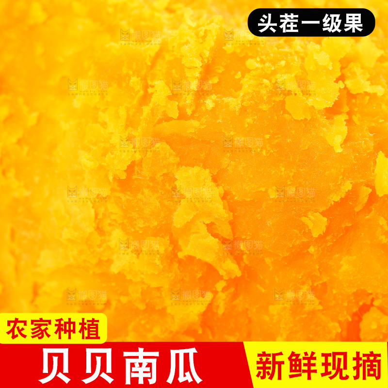 深底上的贝贝南瓜
