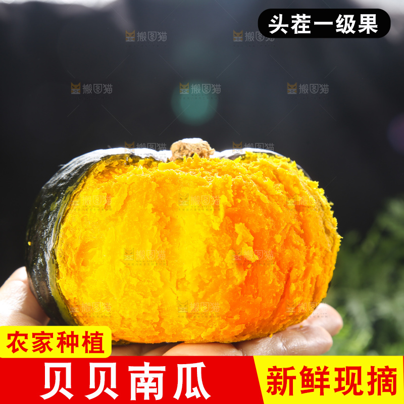 深底上的贝贝南瓜