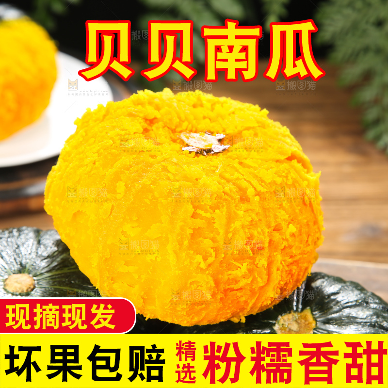 深底上的贝贝南瓜
