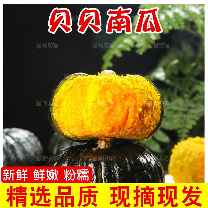 贝贝南瓜
